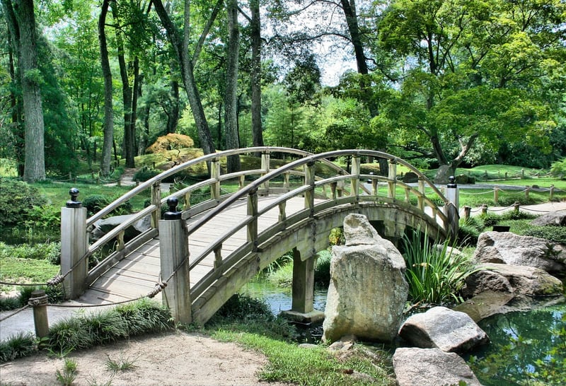 Enchanted Pathways